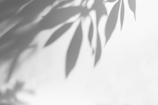 Abstract Hintergrund Zementmauer Schatten Licht Design Konzept
