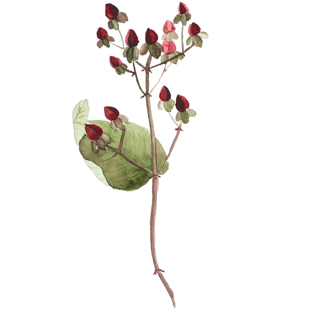Abstrakte Aquarellillustration von Herbstblättern Handgezeichnete Naturgestaltungselemente isoliert auf weißem Hintergrund
