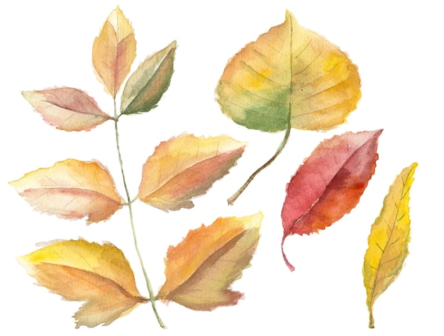 PSD abstrakte aquarellillustration von herbstblättern handgezeichnete naturgestaltungselemente isoliert auf weißem hintergrund