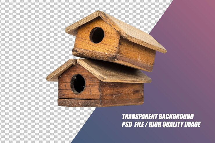 PSD accesorios para pájaros en fondo transparente png