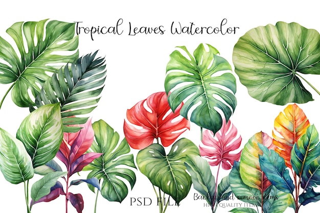 Acquerello a foglia tropicale Clipart