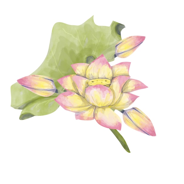 Acquerello Botoni di foglie e fiori in fiore Teste di loto Composizione di illustrazioni per Web Print