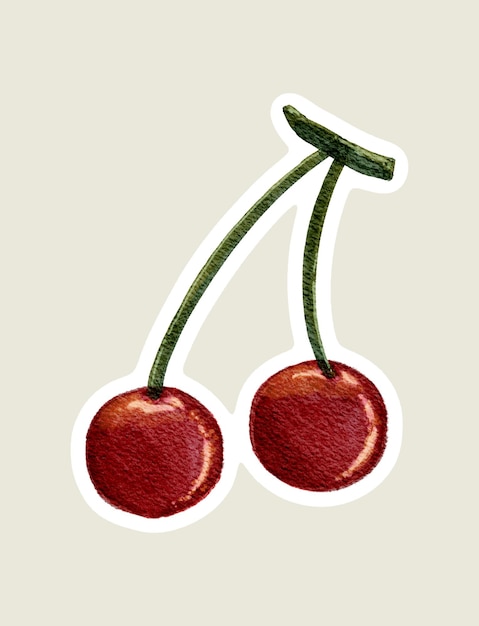 acquerello di ciliegie rosse con gambi elemento di design illustrativo