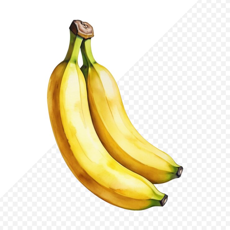 PSD un acuarela dibujada a mano dos frutas de plátano fondo transparente