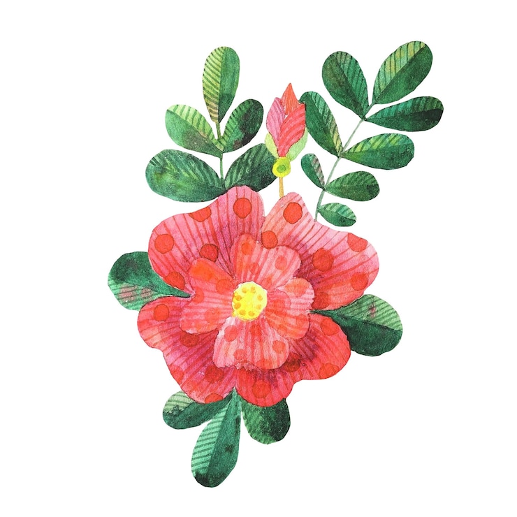 PSD acuarela estilizada rosas de perro ilustración flores hojas para crear invitaciones de postales de diseño