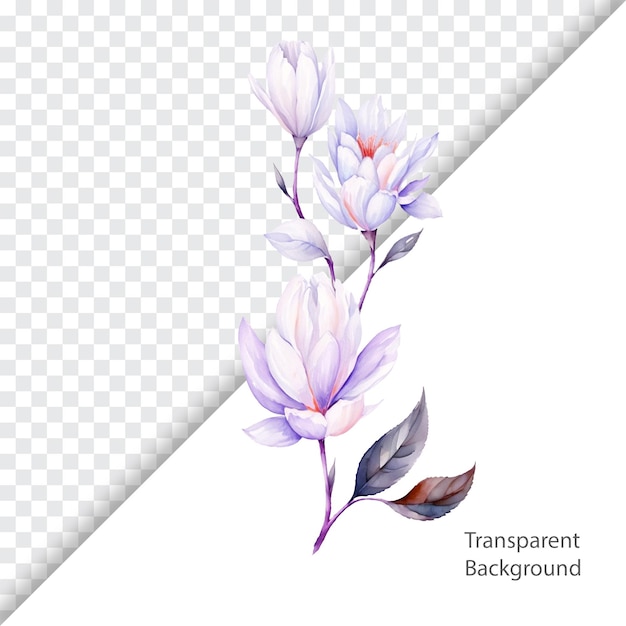 acuarela flores moradas fondo transparente
