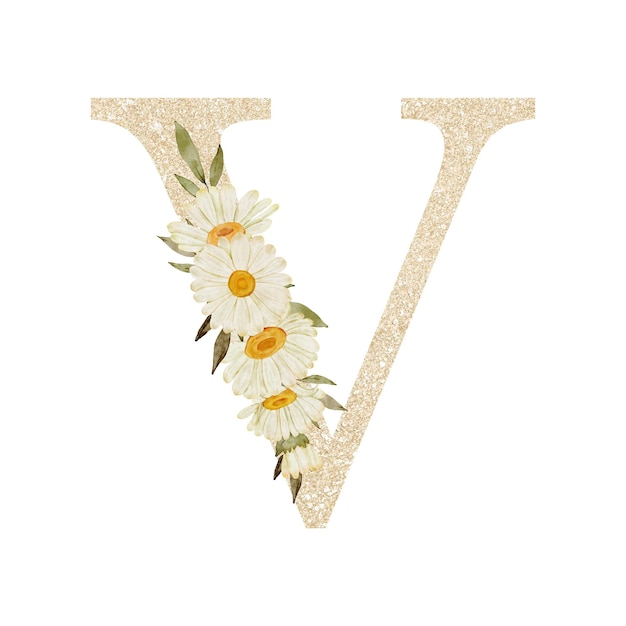 Acuarela margarita flor alfabeto v