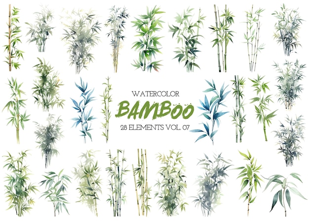 Acuarela pintada bambú clipart Elementos de diseño dibujados a mano aislados sobre fondo blanco