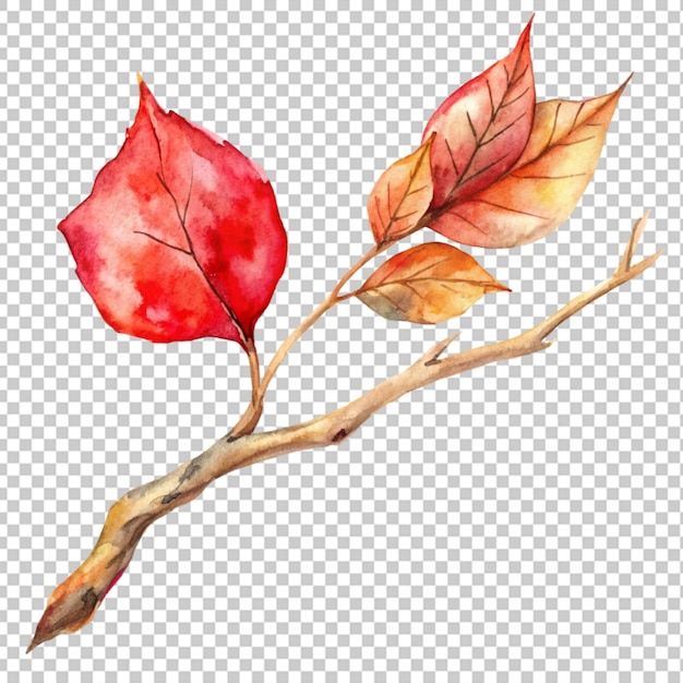 Acuarela rama marchita con hojas rojas fondo transparente