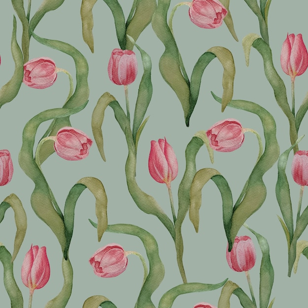 PSD acuarela rosa tulipanes rojos sobre fondo verde claro de patrones sin fisuras