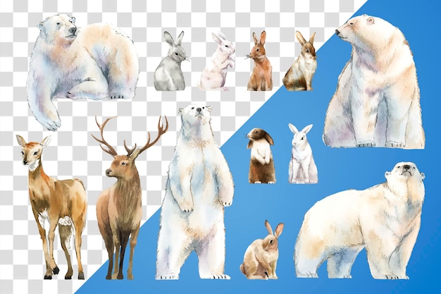 Adhesivo png de animales de acuarela con ilustración de vida silvestre de invierno en un fondo transparente