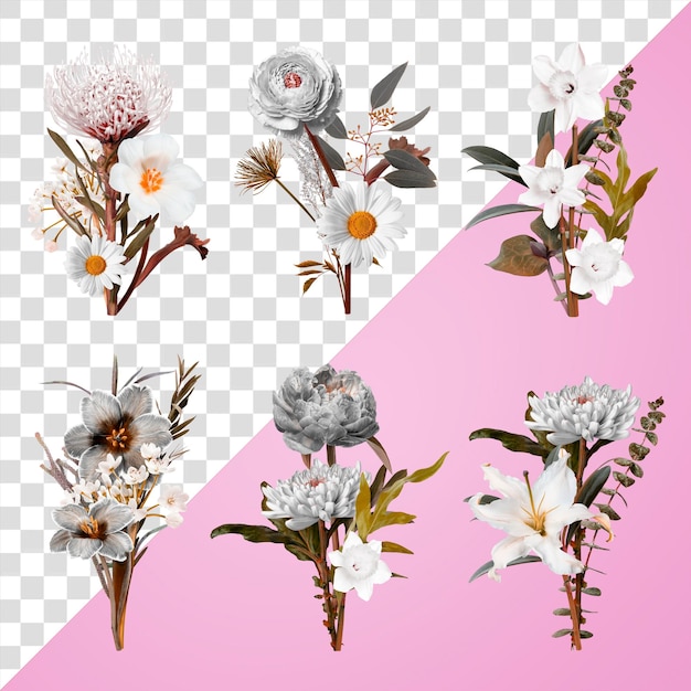 Adhesivos png de flores botánicas conjunto de elementos de collage floral fondo transparente