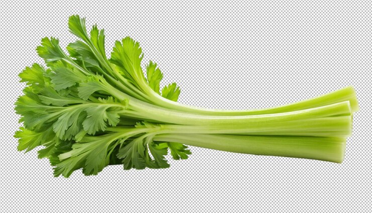 PSD adjunto de apio para comidas saludables