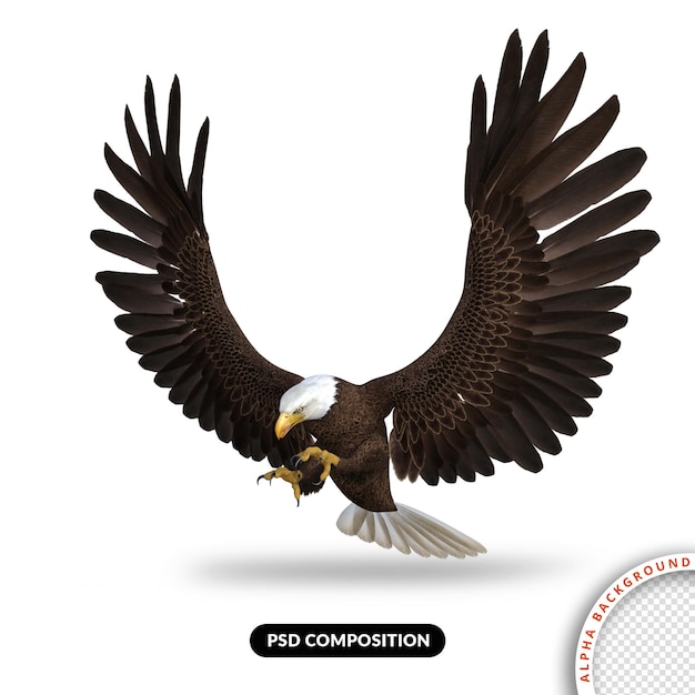 Adler fliegt 3d-rendering