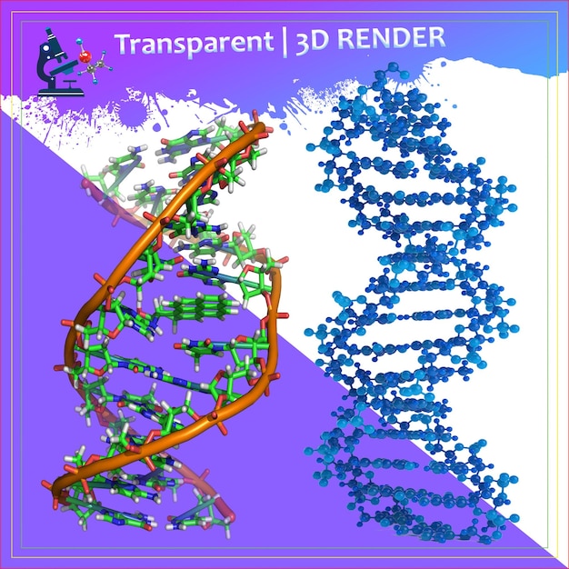 PSD l'adn, la biochimie, la structure des molécules, les protéines, les acides nucléiques, la microbiologie, les sciences médicales.