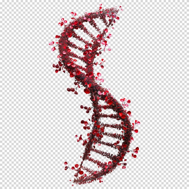 PSD l'adn isolé sur un fond transparent