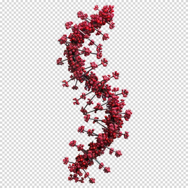 PSD l'adn isolé sur un fond transparent