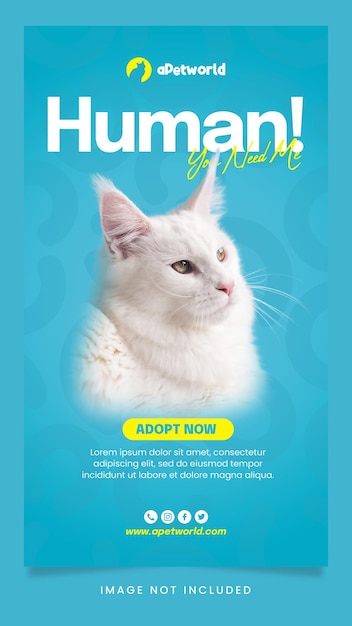 Adoção de animais de estimação com modelo de história do instagram de mídia social de gato
