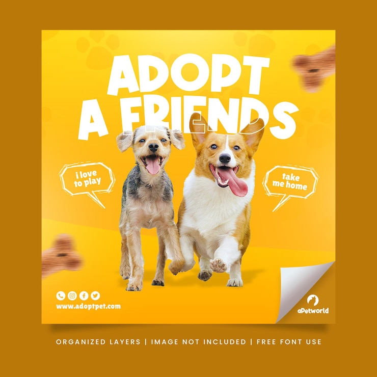 PSD adopte una plantilla de banner web de publicación de instagram y redes sociales de promoción de mascotas