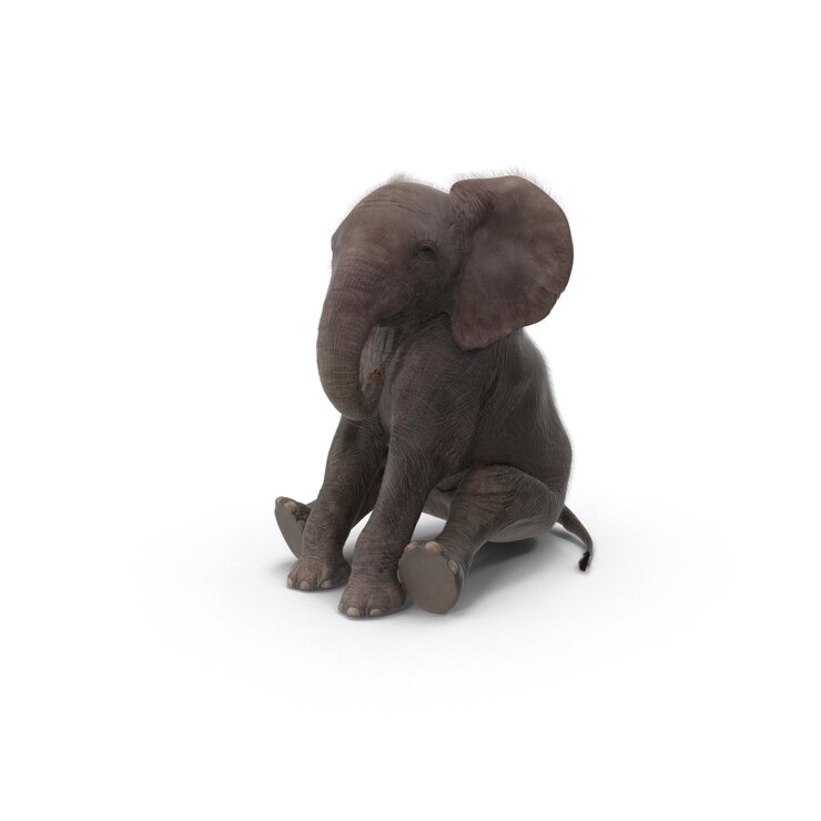 PSD adorabile cucciolo di elefante seduto