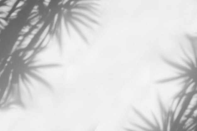 Ästhetischer Hintergrund mit Schatten auf einer einfachen Wand während der Goldenen Stunde PSD
