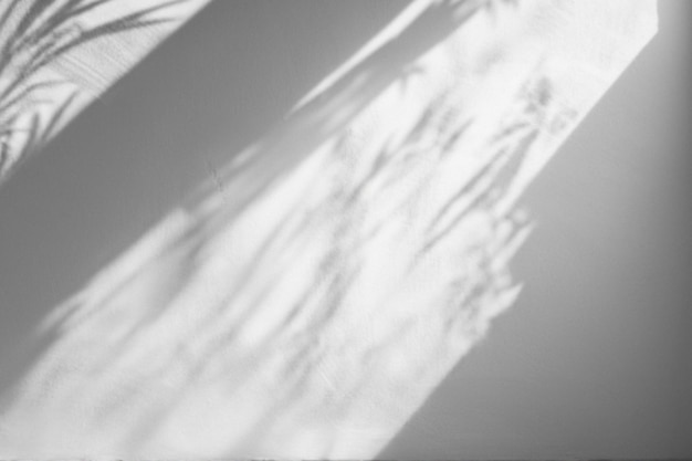 Ästhetischer Hintergrund mit Schatten auf einer einfachen Wand während der Goldenen Stunde PSD