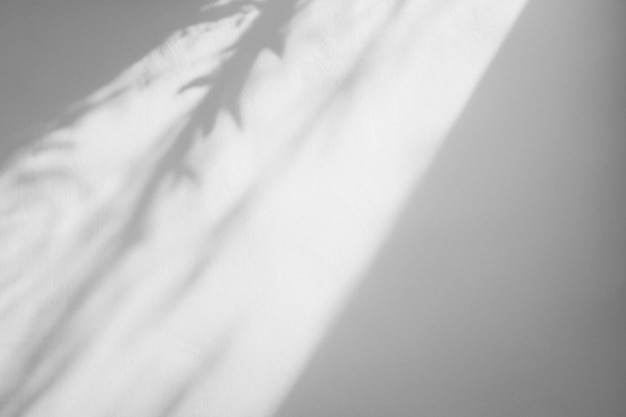 Ästhetischer Hintergrund mit Schatten auf einer einfachen Wand während der Goldenen Stunde PSD