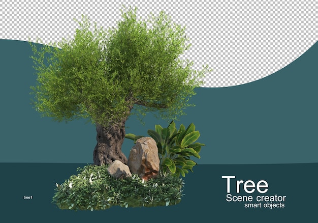 Affichage Des Résultats Pour Les Arrangements D'arbres Et D'arbustes