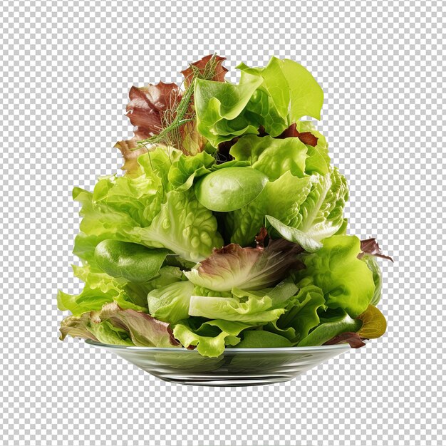 PSD affichage volumétrique diète alimentation saine mangez de la salade de laitue végétalienne organique alimentation arrangée salade verte sur