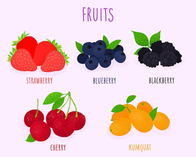 une affiche avec différents fruits et baies pour les fruits et les baies