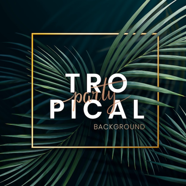 Affiche fête tropicale