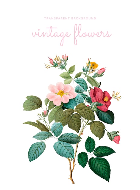Une affiche pour un fleuriste vintage