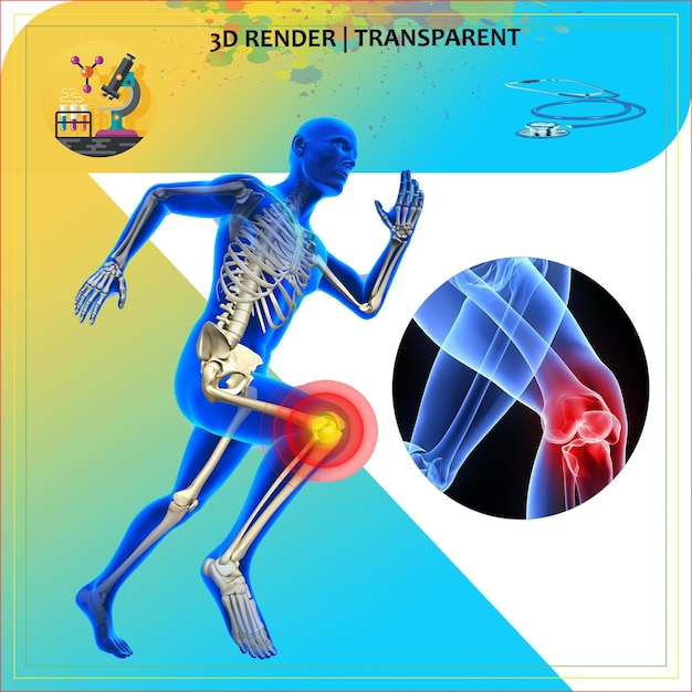 une affiche pour un modèle 3D d'une figure humaine avec un squelette en bas
