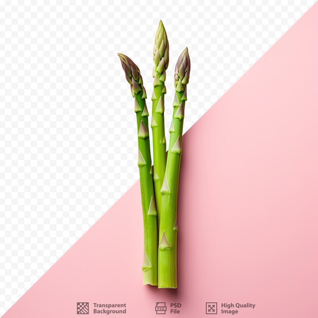 PSD une affiche pour une plante qui dit « bio ».