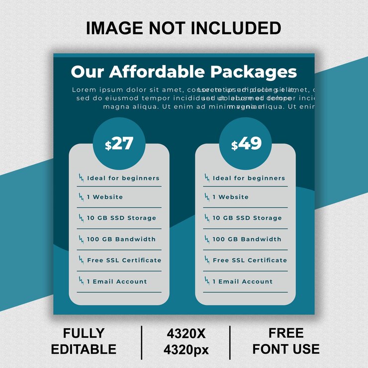 PSD affordable website hosting packages