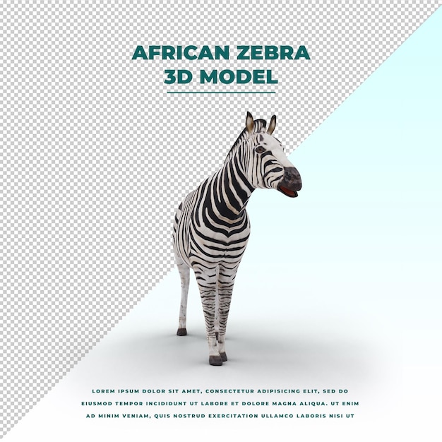 PSD afrikanisches zebra isoliert