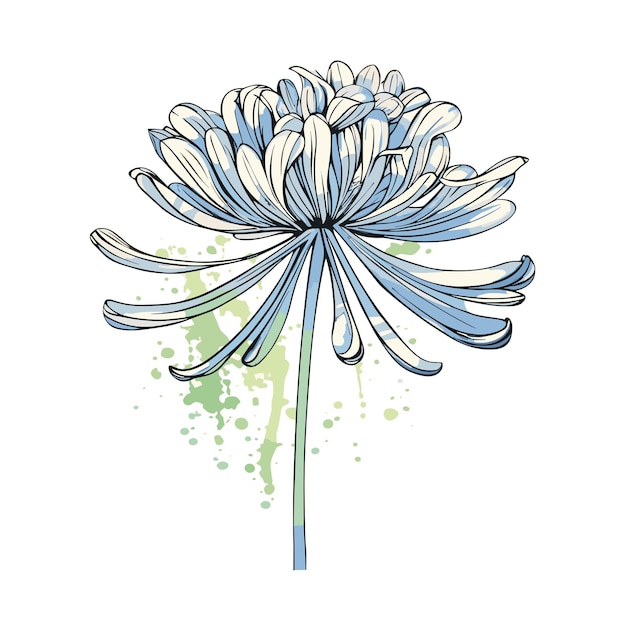 PSD agapanthus aquarela tshirt design gráfico ilustração aquarela png psd