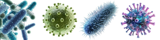 Les agents pathogènes microscopiques