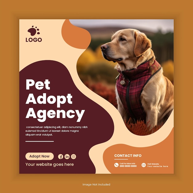 Agenzia di adozione di animali domestici e pet shop social media post design o modello di banner quadrato Instagram