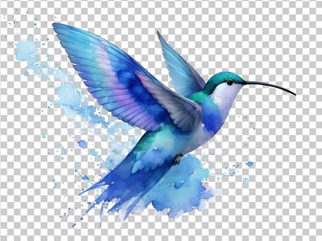 PSD Água azul cor voando beija-flor