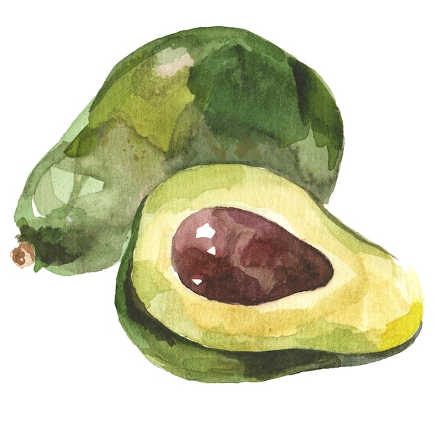 Aguacarelo pintado a la acuarela Elemento de diseño de alimentos frescos dibujado a mano aislado sobre un fondo blanco
