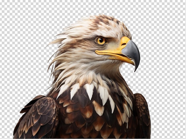 El águila png