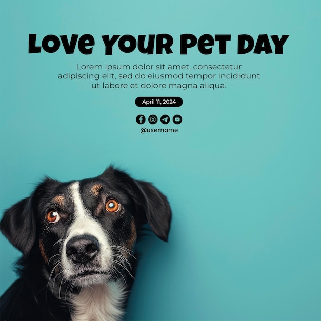 PSD aimez votre post sur les médias sociaux le jour de l'animal de compagnie avec un chien et un chat isolés en arrière-plan