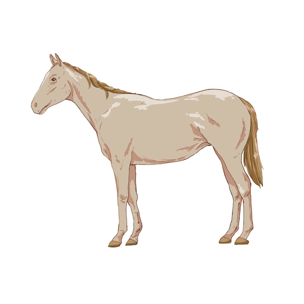 Akhalte chevaux illustration animale créative