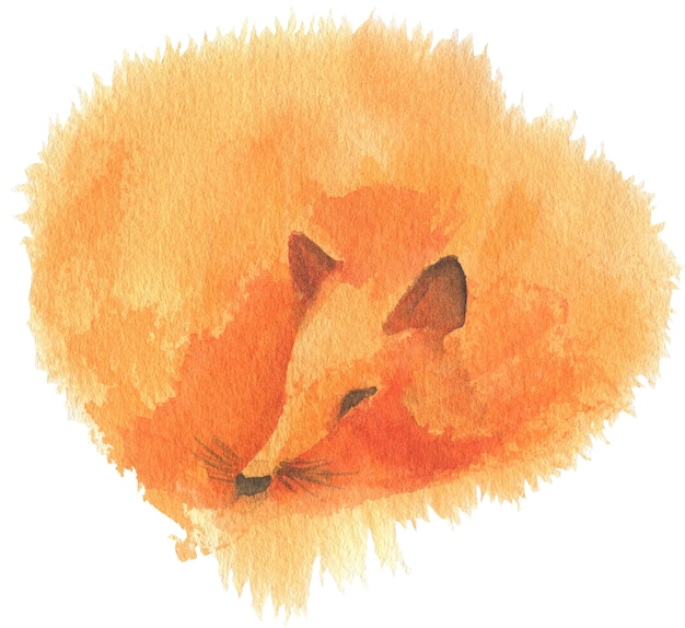 PSD akwarell von einem schlafenden fuchs, eine illustration eines waldtieres