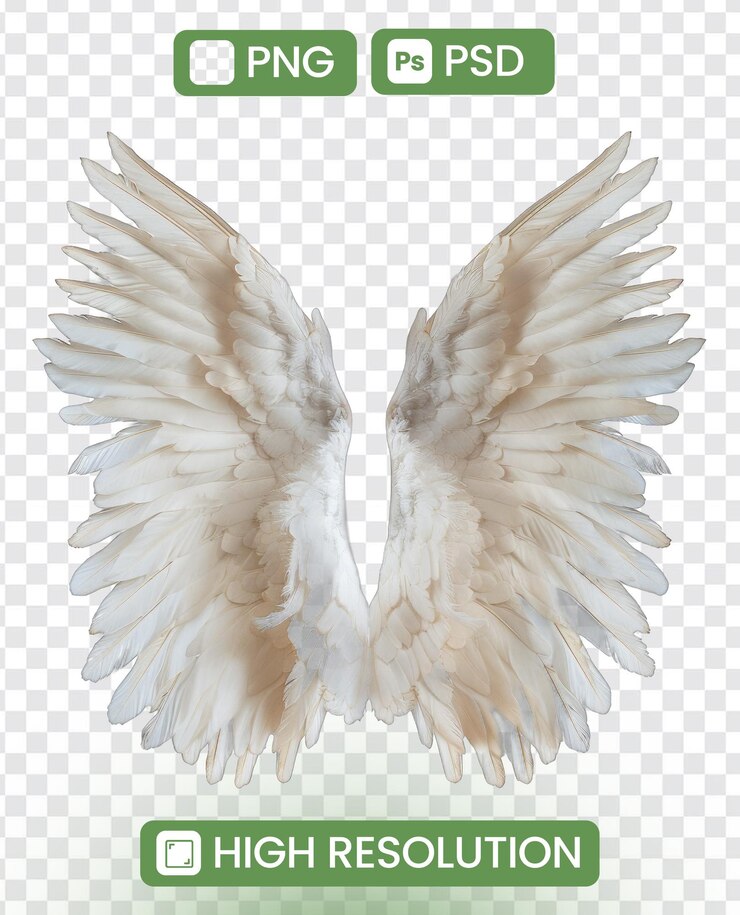 PSD las alas de un ángel blanco están abiertas, creando una sensación de libertad.