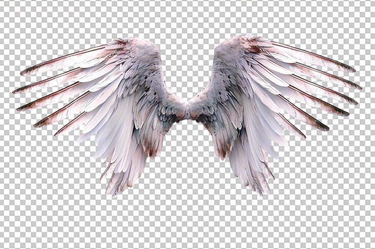 PSD las alas de cupido solas sobre un fondo transparente