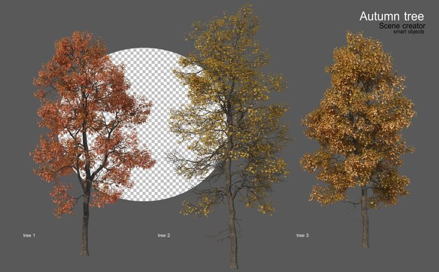 Alberi autunnali di varie forme