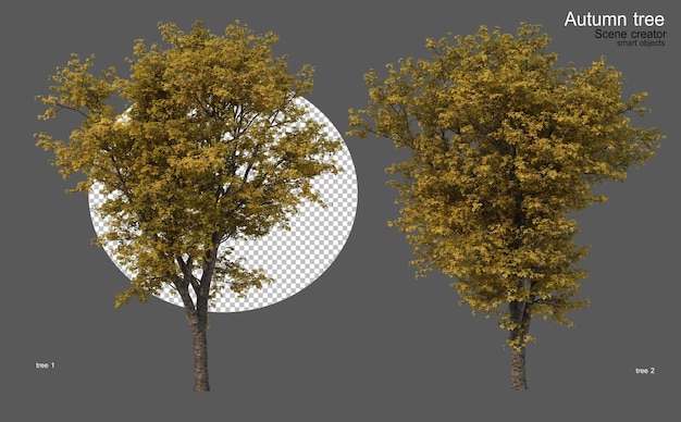 Alberi autunnali di varie forme