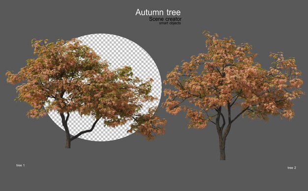 Alberi autunnali di varie forme